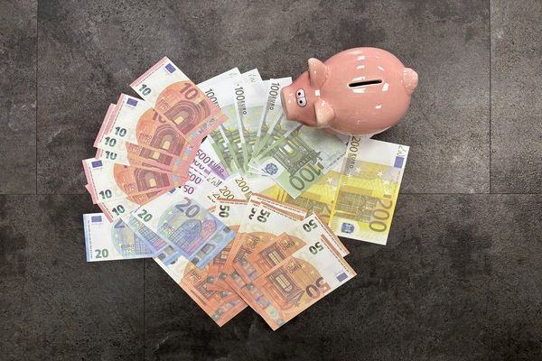 spaarvarken met eurobiljetten